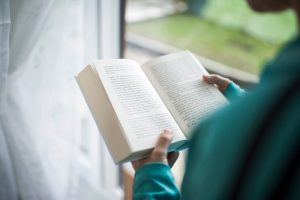 novel adalah