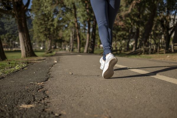 jasa joki strava