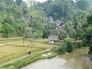 Kampung Naga