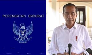 Peringatan Darurat