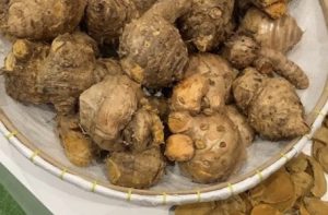 Temulawak obat asam urat
