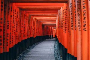 Beasiswa kursus bahasa Jepang