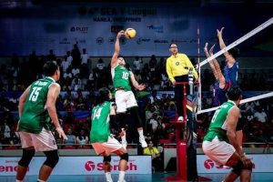 Timnas Voli Putra Indonesia