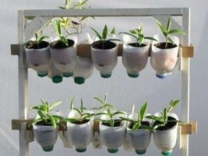 Berkebun Hidroponik Botol Bekas