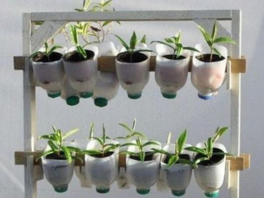 Berkebun Hidroponik Botol Bekas