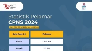pelamar CPNS 2024