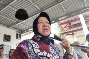 risma mundur dari kabinet