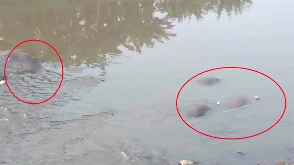 Korban tewas kali Bekasi, tenggak miras