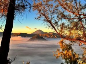 Aktivitas Gunung Bromo