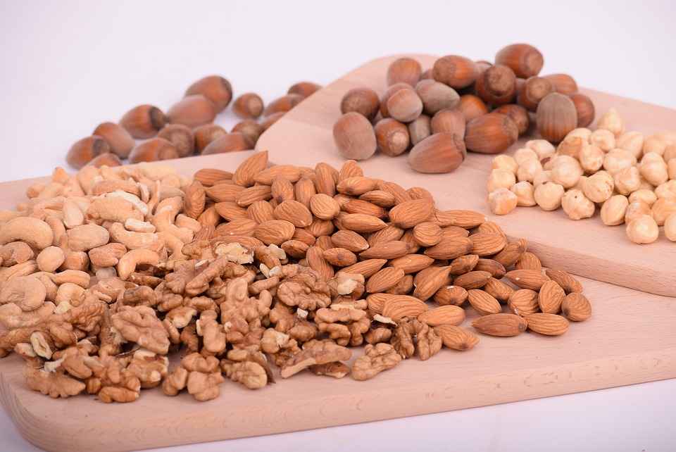 Makanan menyelamatkan bumi