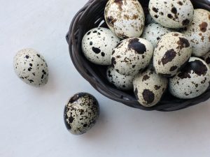 Telur puyuh kesacap