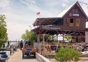 Mangrove Mayangan Subang