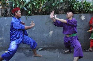 Pencak Silat