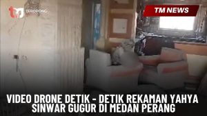 Video Drone Detik - Detik Rekaman Yahya Sinwar Gug-Cover