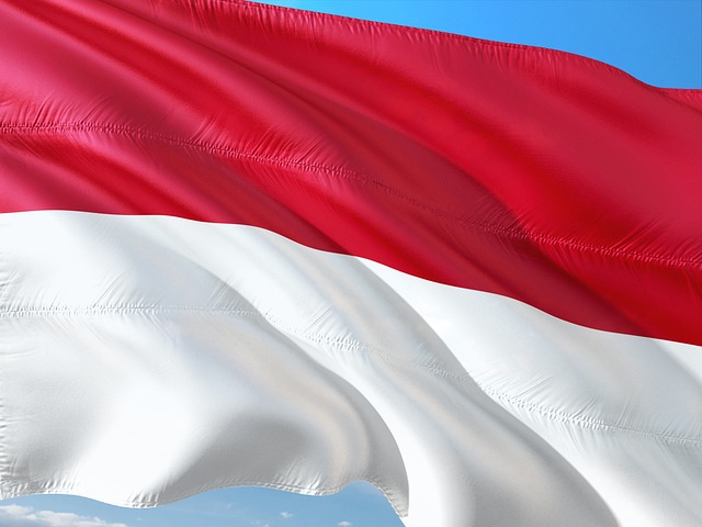 Negara pertama mengakui kemerdekaan Indonesia