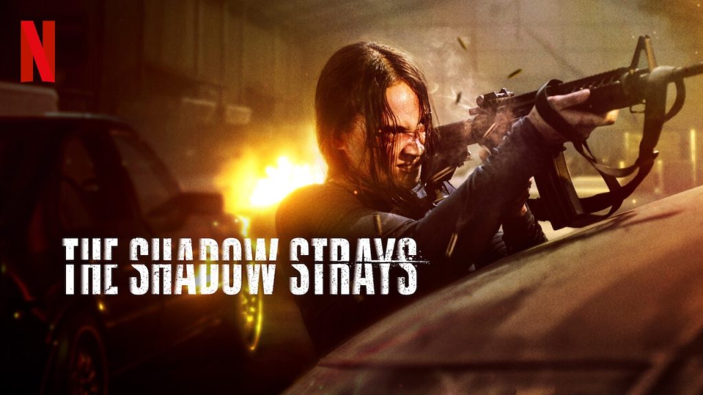 the shadow strays