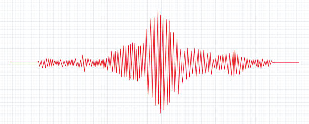 Gempa Magnitudo 6,2 Guncang Blang Pidie Aceh