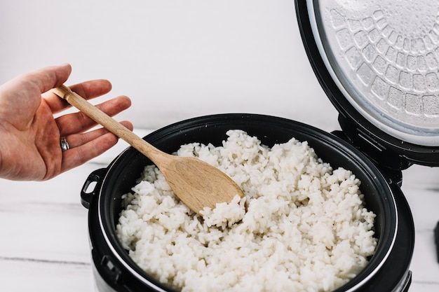 Nasi basi