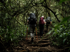 Pendakian Gunung Gede Pangrango tutup sementara