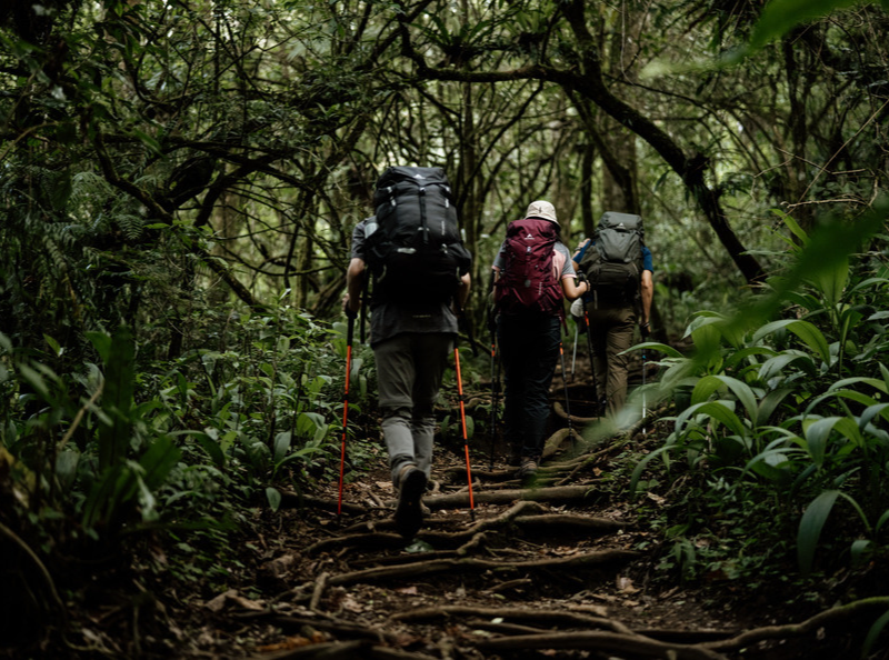 Pendakian Gunung Gede Pangrango tutup sementara