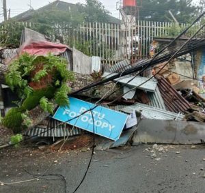 Pohon Besar Tumbang Menimpa Beberapa Bangunan di Ciumbuleuit Bandung