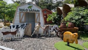 Tiket reguler premium Solo Safari
