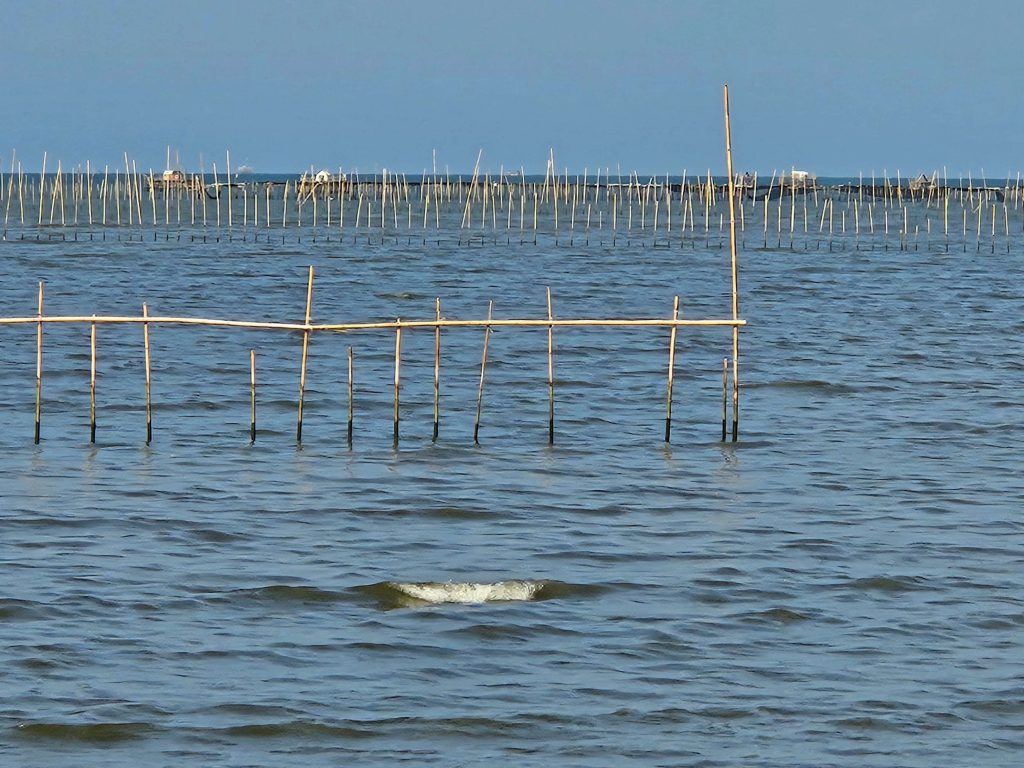 Polisi Tetapkan 9 Tersangka Kasus Pemalsuan Tanah Pagar Laut di Bekasi