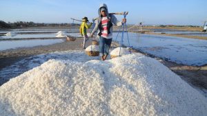 Pemerintah Revisi Aturan Larangan Impor Garam Industri