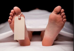 urnalis Media Online Ditemukan Tewas di Kamar Hotel di Kebun Jeruk Jakbar