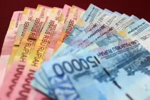 Apakah tenaga honorer dan freelance dapat THR