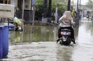 BMKG banjir rob