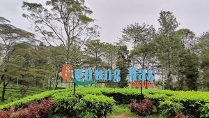 Liburan Seru Bersama Keluarga di Gunung Mas