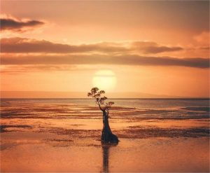 Jadwal Imsak Maluku Utara