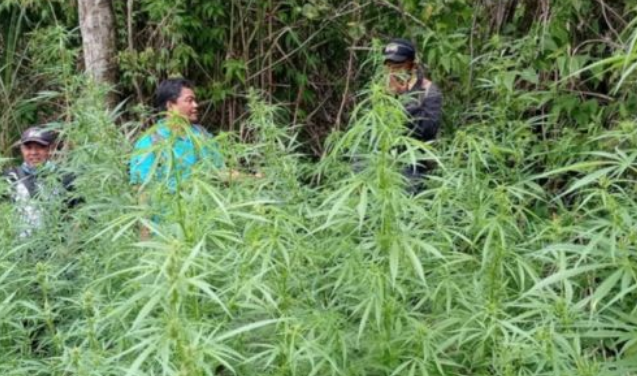 Klarifikasi TNBTS