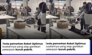 Robot Optimus