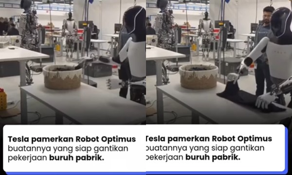 Robot Optimus