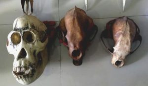 Perdagangan satwa dilindungi