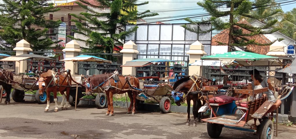 Tasikmalaya Delman dilarang Beroperasi