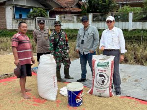 Penyerapan Gabah BULOG Jabar Tembus 100%