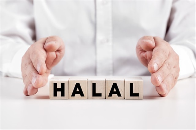 indonesia pusat halal dunia