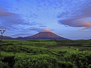 Gunung Api Kerinci Alami Peningkatan Aktivitas Kegempaa