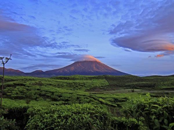 Gunung Api Kerinci Alami Peningkatan Aktivitas Kegempaa