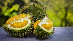 durian jawa barat