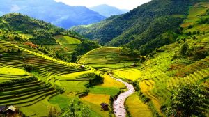 Jatim Lumbung Pangan Nasional
