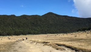 Alun-alun Surya Kencana Gunung Gede