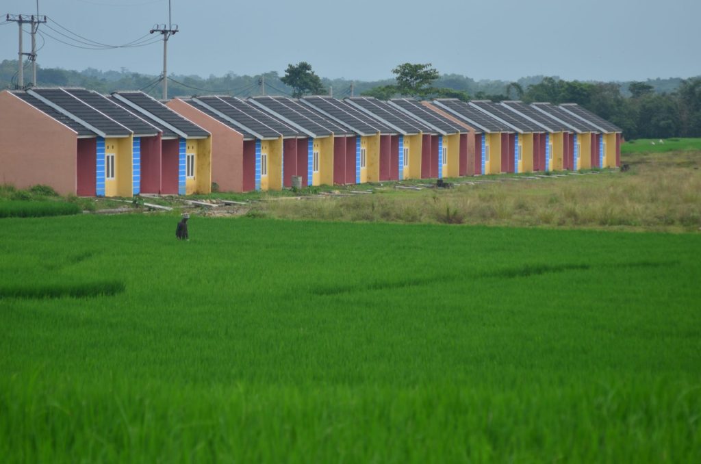 Menteri PKP Tolak Alih Fungsi Sawah untuk Perumahan