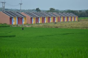 Menteri PKP Tolak Alih Fungsi Sawah untuk Perumahan