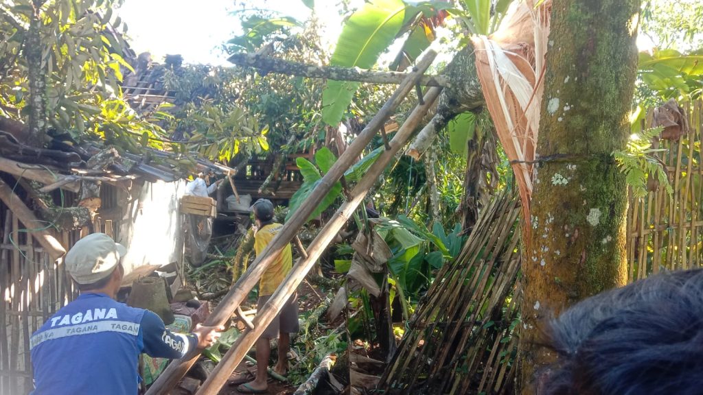Dua Rumah Rusak Tertimpa Pohon di Cigalontang Kabupaten Tasikmalaya