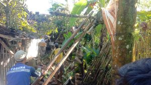Dua Rumah Rusak Tertimpa Pohon di Cigalontang Kabupaten Tasikmalaya