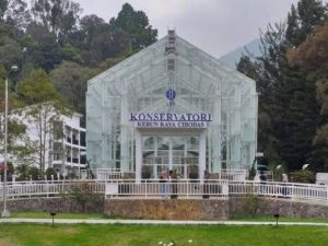 Kebun Raya Cibodas